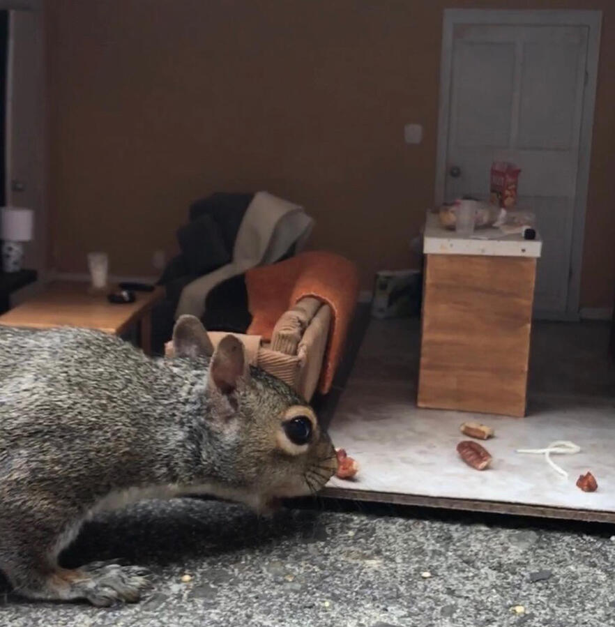 Another Elizabeth crime scene replica gets a visit