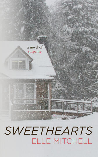 psychological suspense novel*