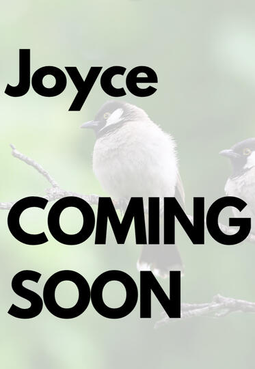 #1 / dark crip magical realism / novella*