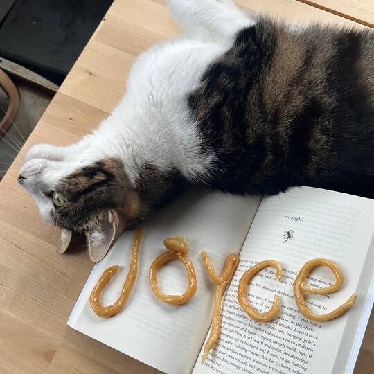 pulled honey and Rory