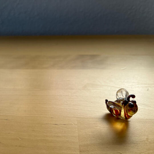 Sarah Walker / Shadowfire Glass